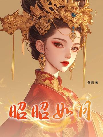 昭昭如月照我无眠第十一